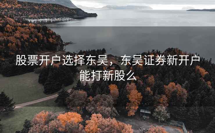 股票开户选择东吴,东吴证券新开户能打新股么 股票开户选择东吴,东吴证券新开户能打新股么