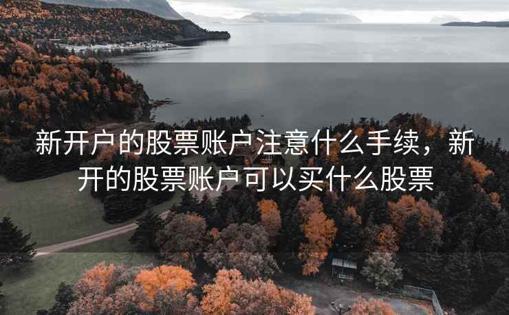 新开户的股票账户注意什么手续，新开的股票账户可以买什么股票