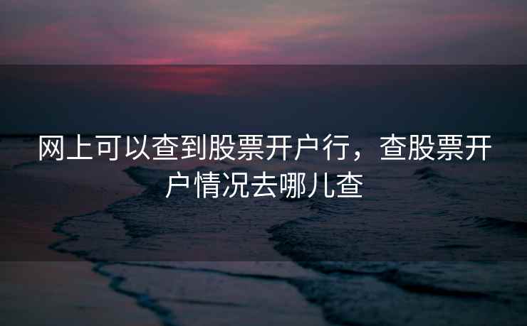 网上可以查到股票开户行，查股票开户情况去哪儿查
