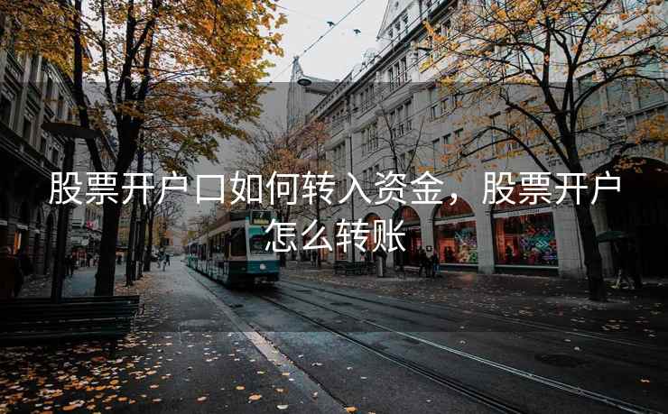 股票开户口如何转入资金，股票开户怎么转账